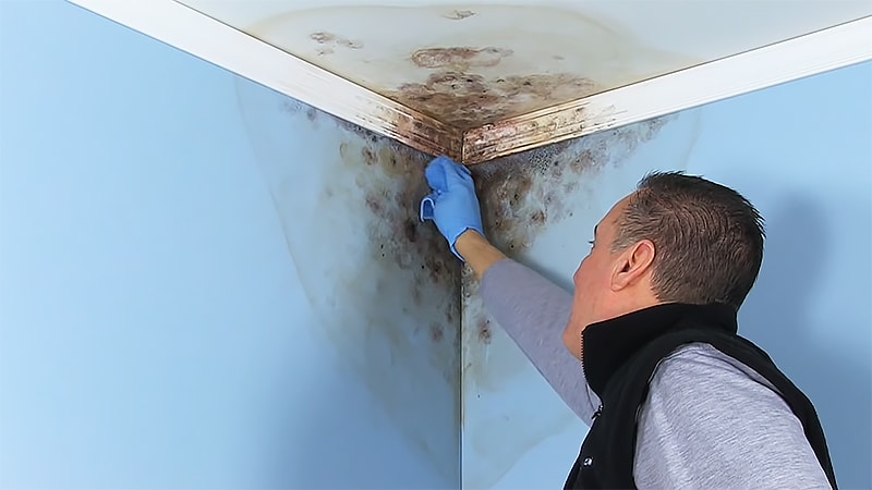 Can you paint over mold in the bathroom