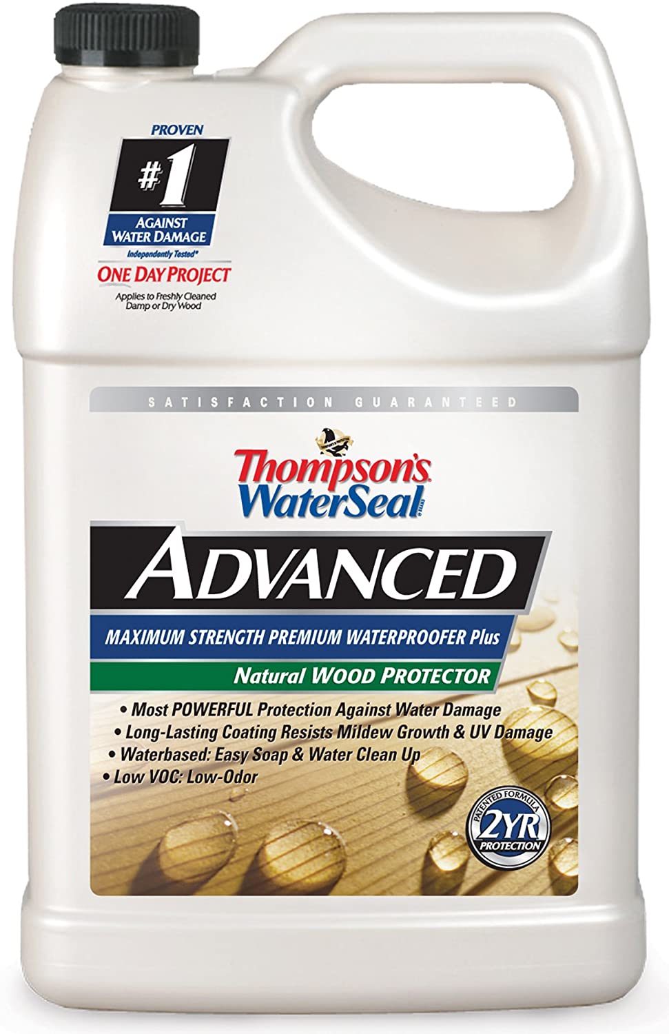 Thompsons WaterSeal Advanced