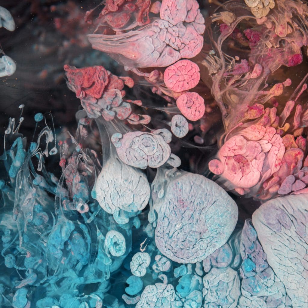 What is Food Safe Epoxy? The Best to Choose in 2024