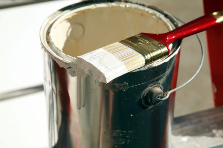 5 Best Ceiling Paints