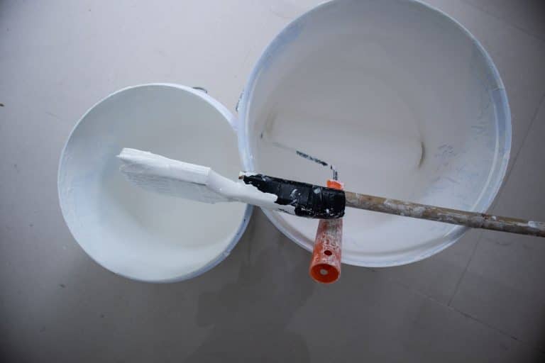 Best Paint Primer For Drywall
