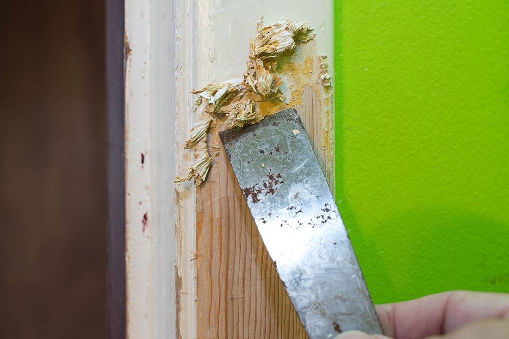 5 Best Paint Strippers For Wood