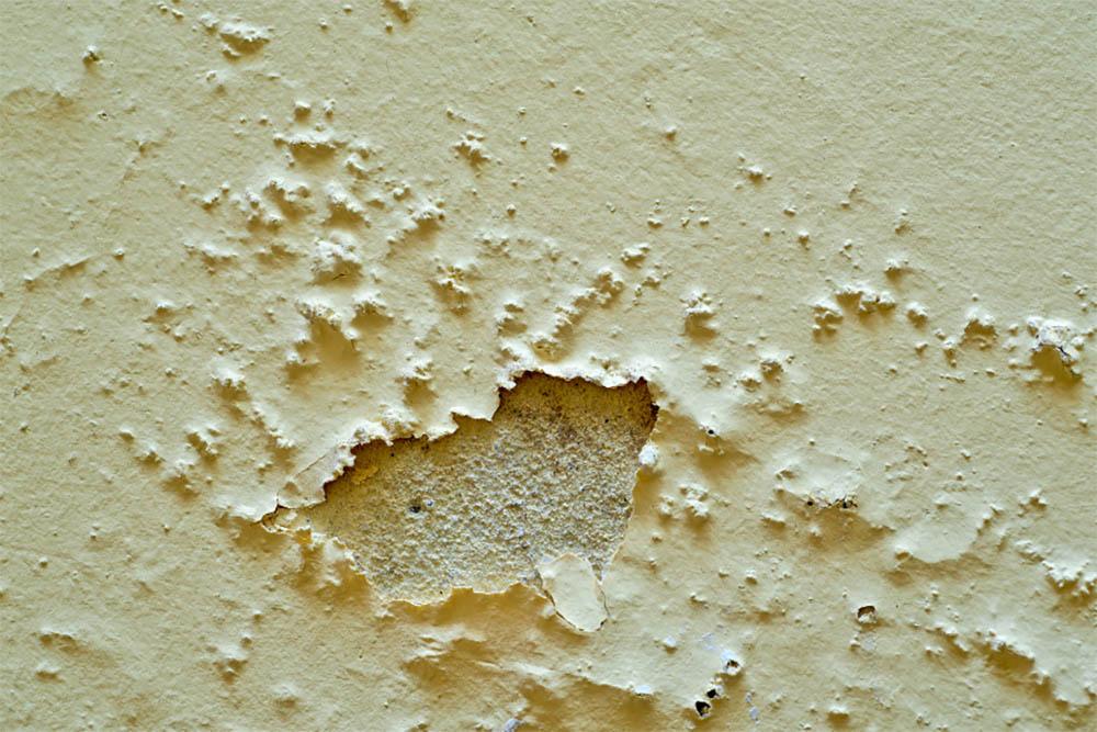 What Paint Is Best For Damp Walls